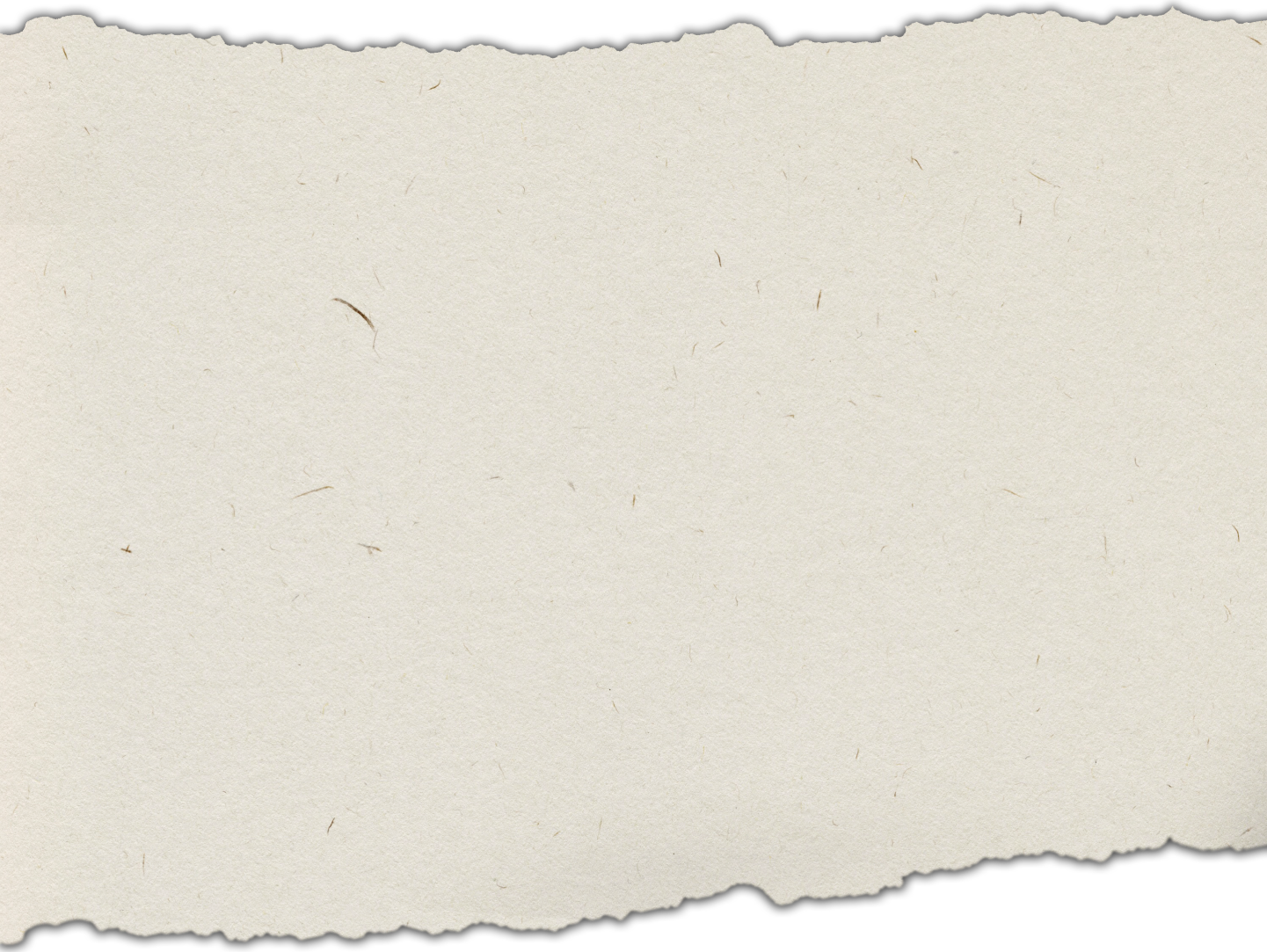 Experience Youth Background